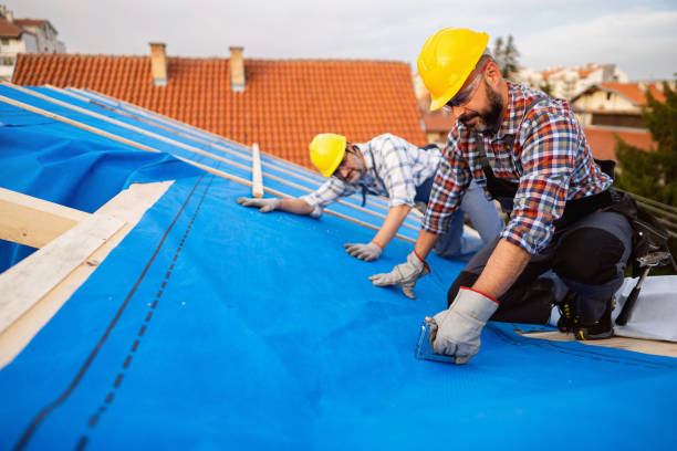 Best Metal Roofing Contractor  in Bamberg, SC