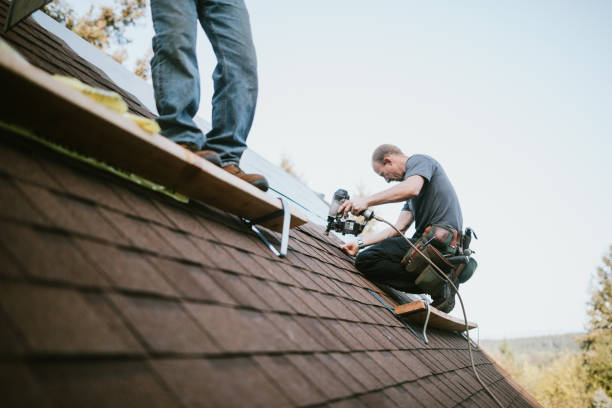 Gutter Installation and Roofing in Bamberg, SC